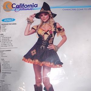COPY - Womens Halloween Costume Sassy Scarecrow
